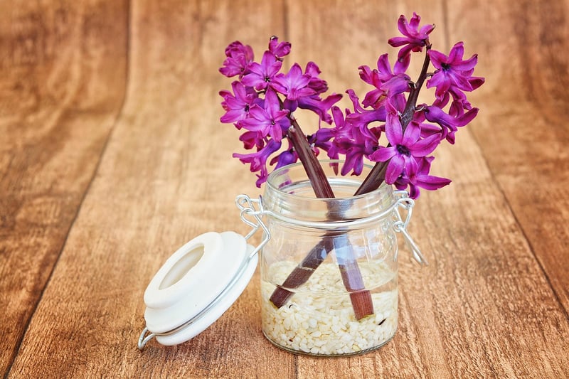 Tin Can Planters